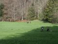 IMG_5320