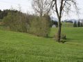 IMG_5329