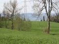IMG_5333
