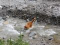 IMG_1415