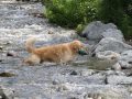 IMG_1545