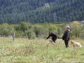 IMG_1943