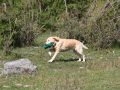 IMG_2519