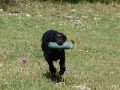 IMG_2531