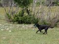 IMG_2587