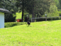 IMG_1907